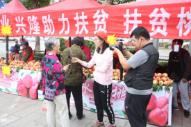 122cc太阳集成游戏(中国)有限公司官网